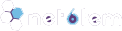 Net6tem